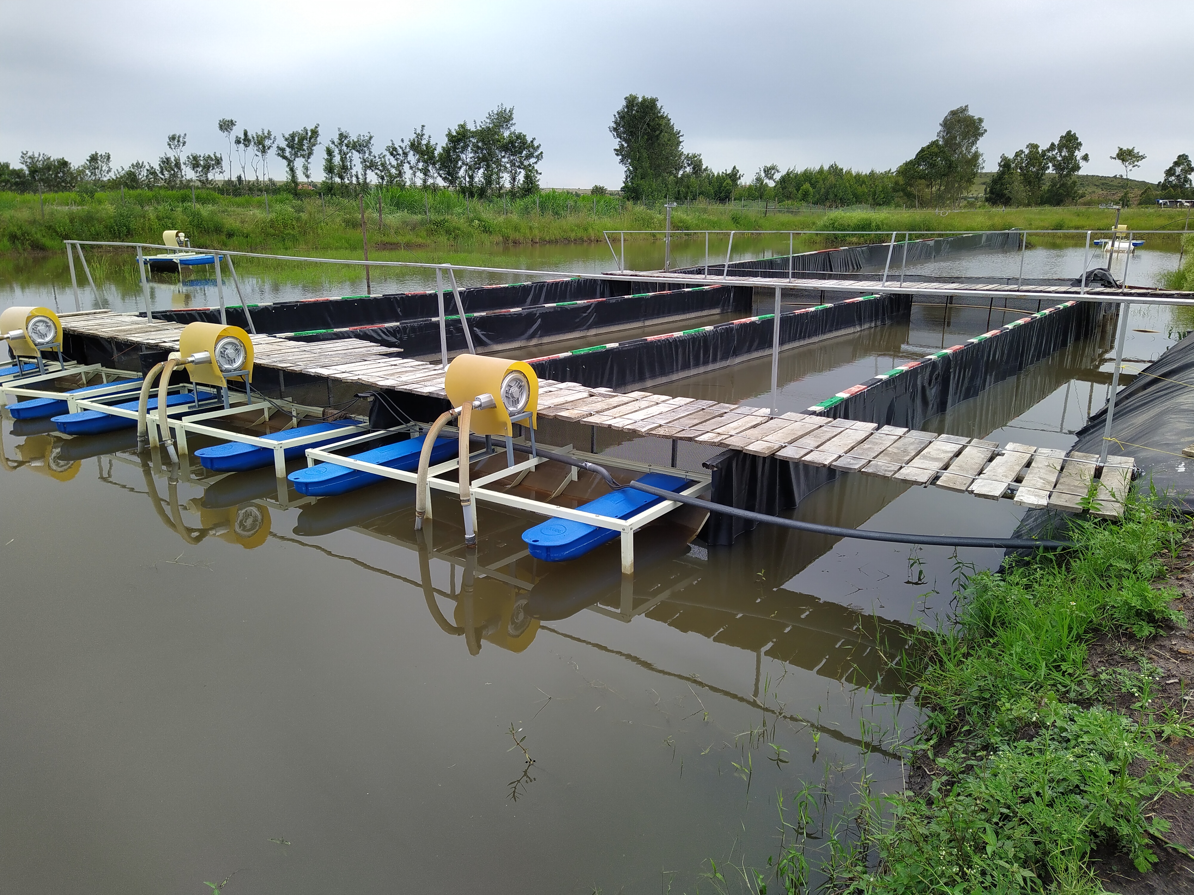 In-Pond Raceway System Technology adopted in Kenya